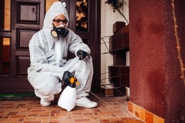 Reliable Cockroach Control contractor in Estill, SC by Nex Pest Control